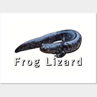 Frog Lizard Posters and Art